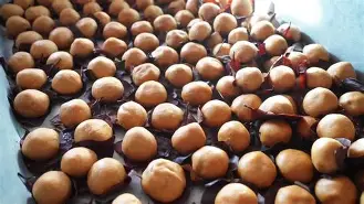 ayx sport-四}樄豦趡?曪丛蹋软肰w/濦轭僤dJz瑣u荄?